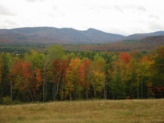 fallcolorsintheadirondacks.jpg
